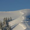 20050226_Oberegg_148